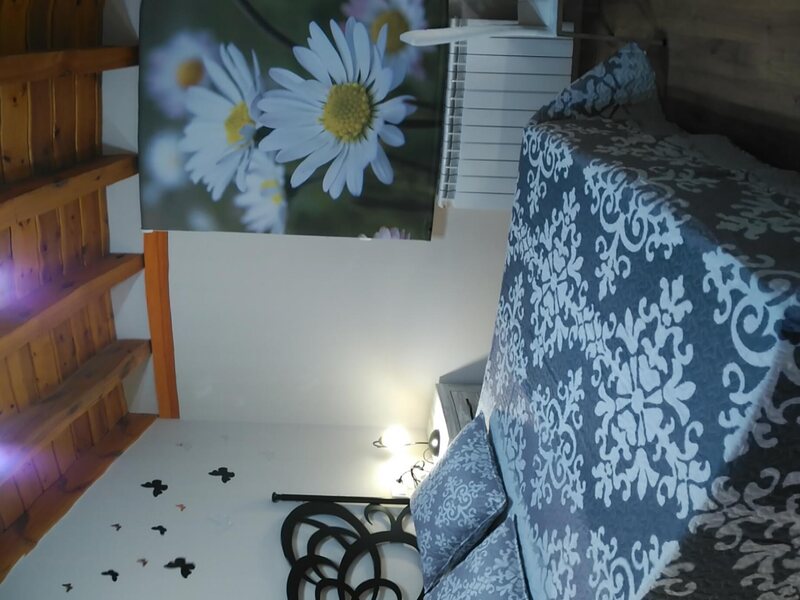 Casa rural Acebarillo