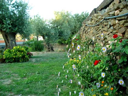 La Solana