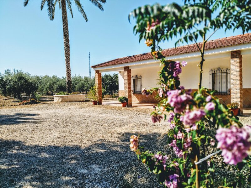 la casa de pepito del villar