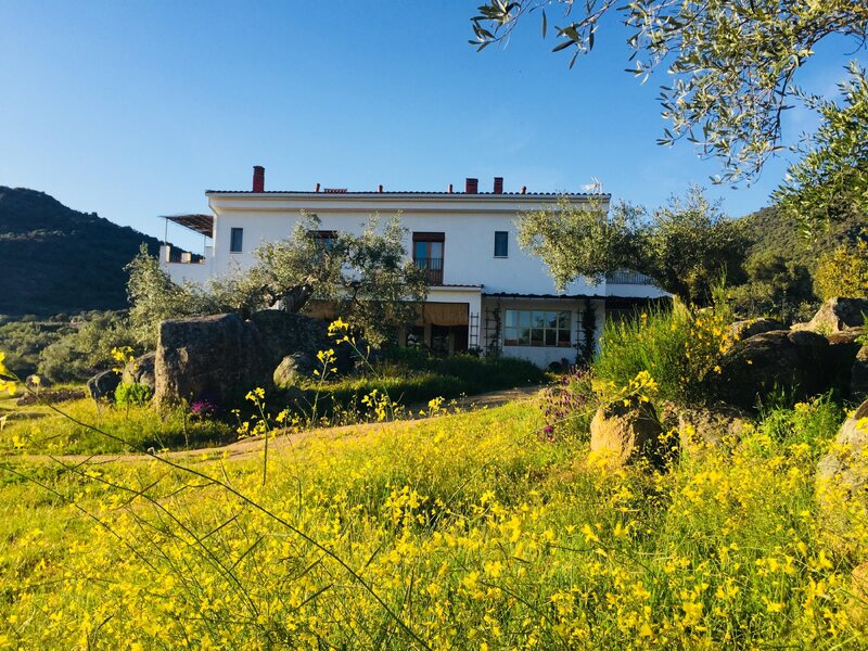 Finca Flores Amarillas