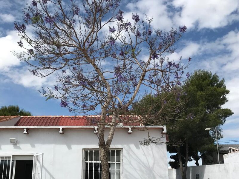 Villagomez