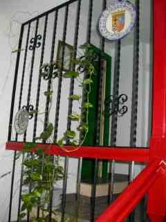 Casa Ferruz