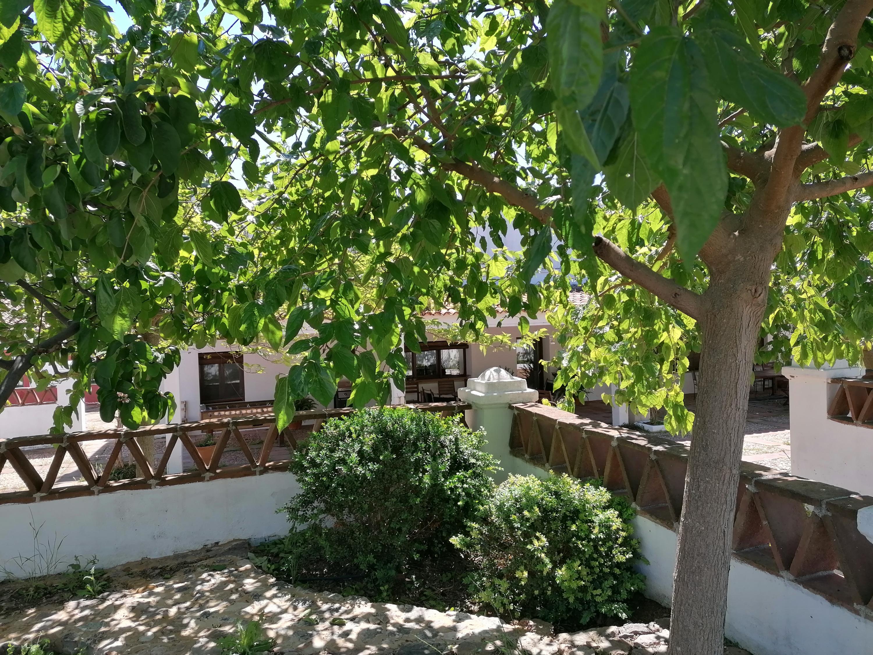 Finca La Rinconada