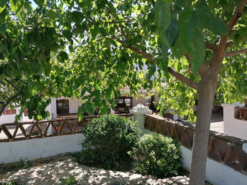 Finca La Rinconada