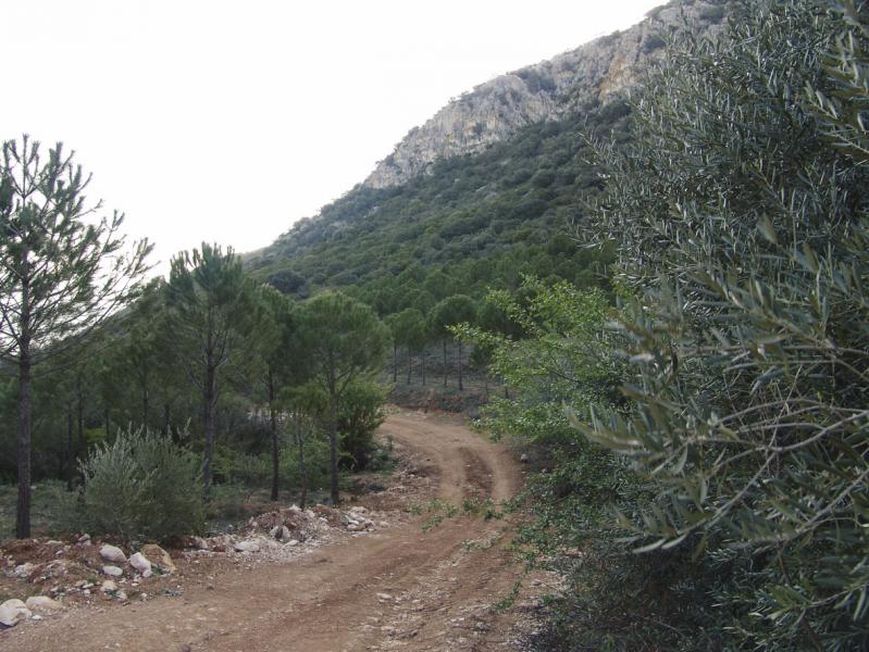 Cortijo La Cañada