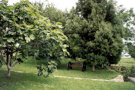 La Casa De Migegos