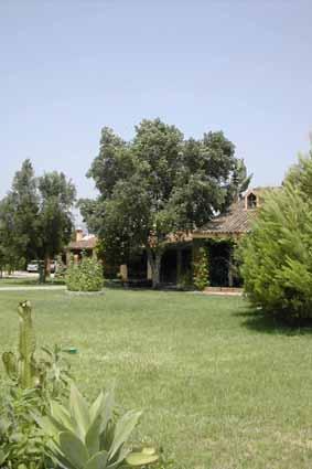Cortijo El Mesonero