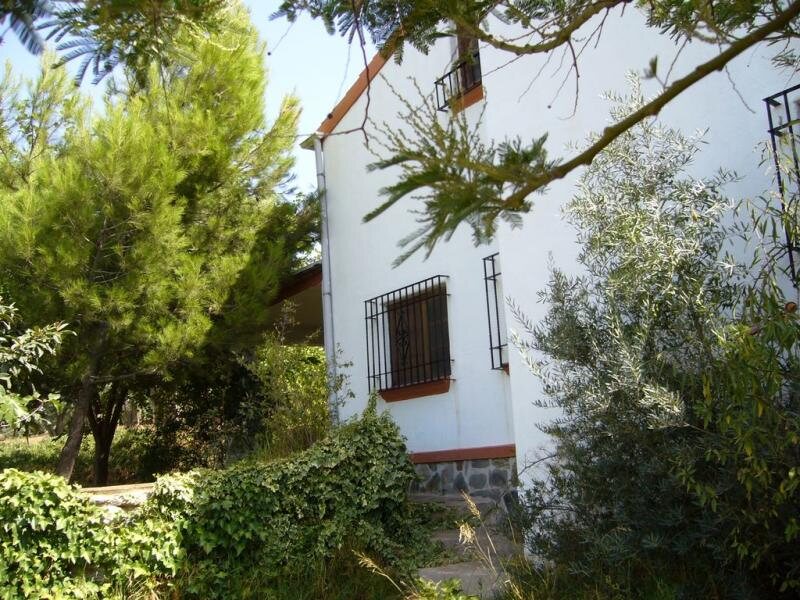 El Llano