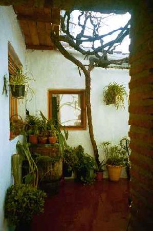 La Casa De Salvadora