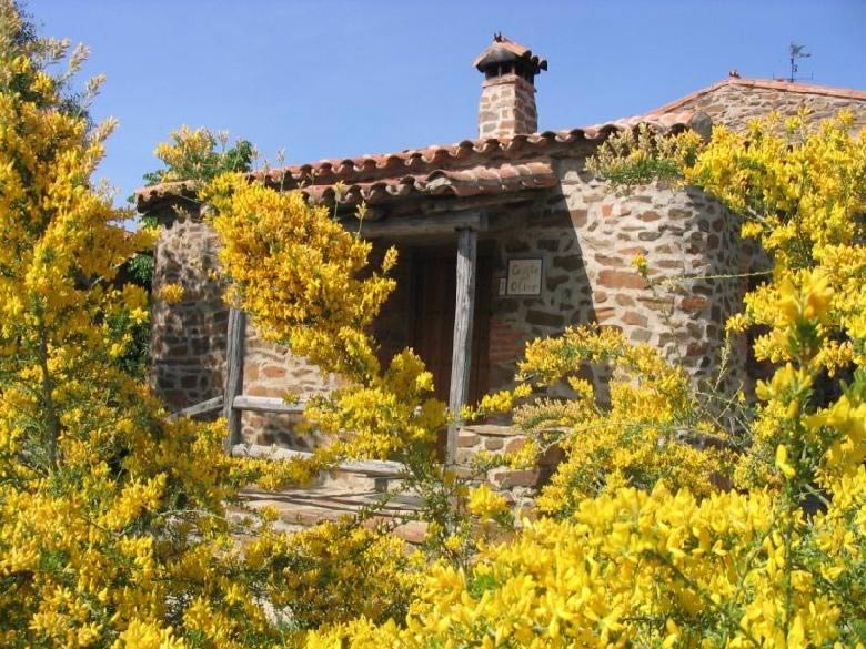 El Jiniebro Turismo Rural