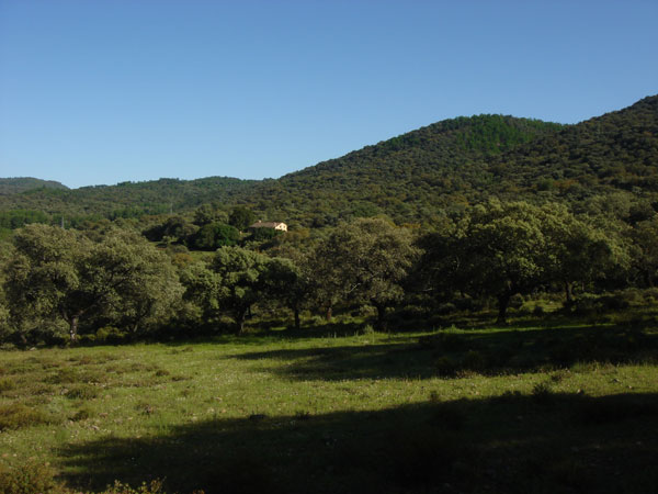Finca Las Mogeas