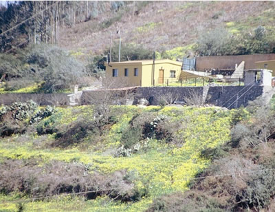 Pico De Osorio