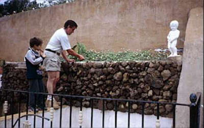 Pico De Osorio