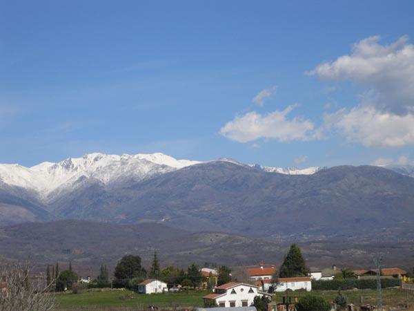 Casa Rural Ginkgos