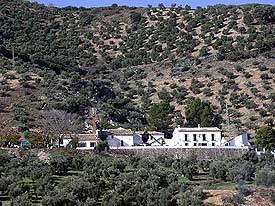 Molino El Vinculo