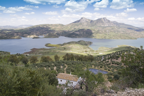 Molino El Vinculo