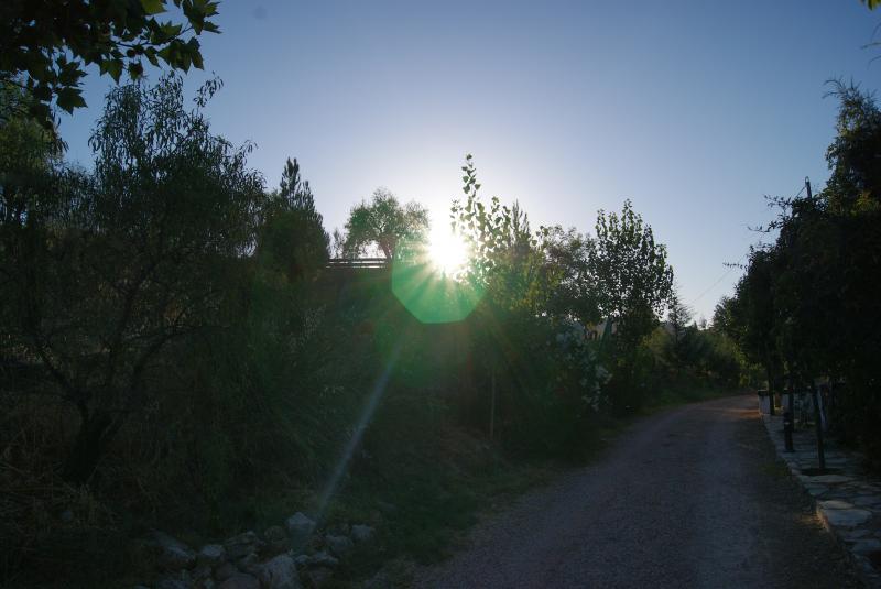 Los Cortijos
