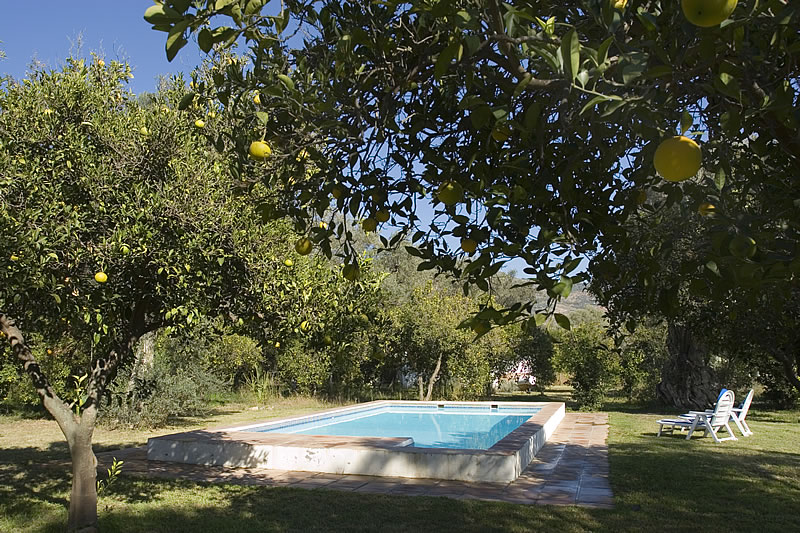 Cortijo Puerta Casas Rurales