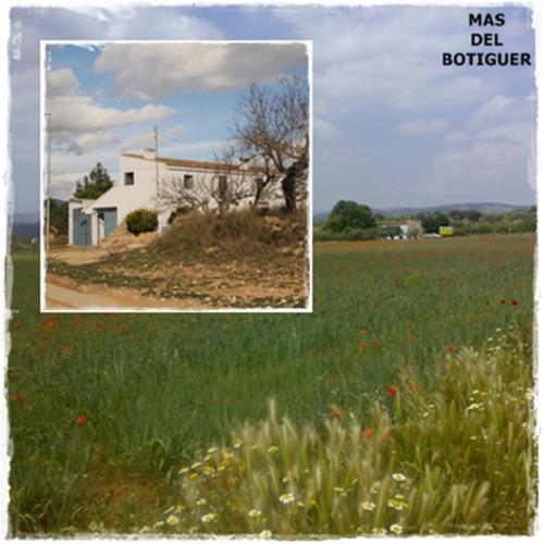 Mas Del Botiguer
